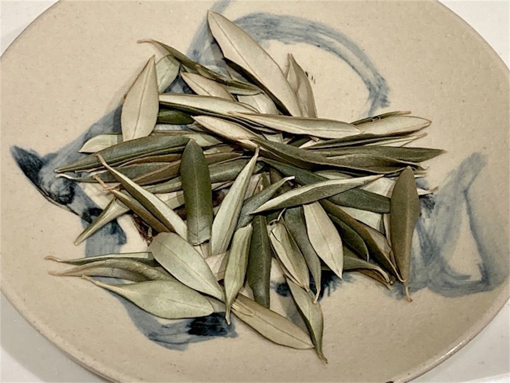 f:id:matundaba79:20201113171744j:image