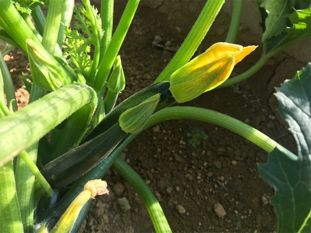 f:id:matundaba79:20201228210800j:image f:id:matundaba79:20201228210800j:image