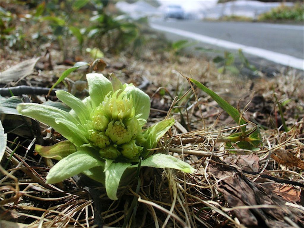 f:id:matundaba79:20201228211303j:image f:id:matundaba79:20201228211303j:image