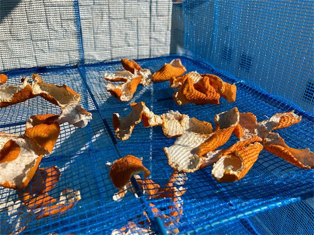橙の柑橘 みかんを食べると手が黄色くなるって本当なの アタマの中は花畑