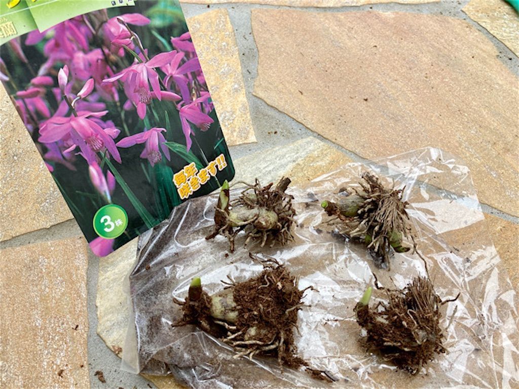 f:id:matundaba79:20210307230448j:image