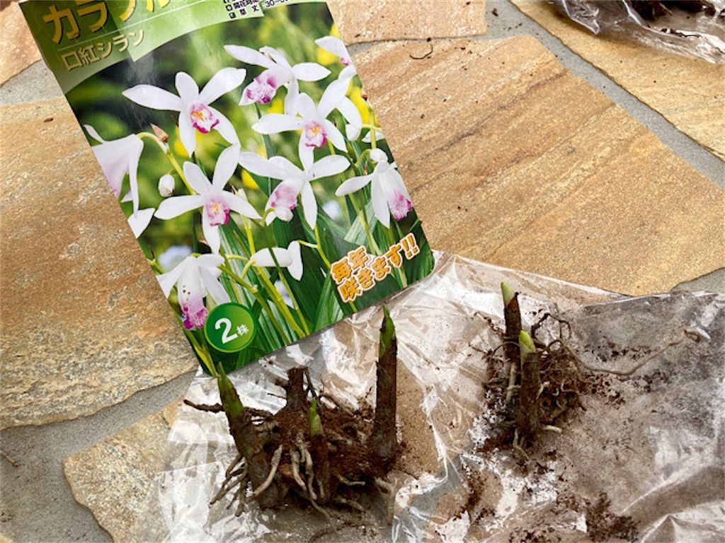 f:id:matundaba79:20210307230500j:image