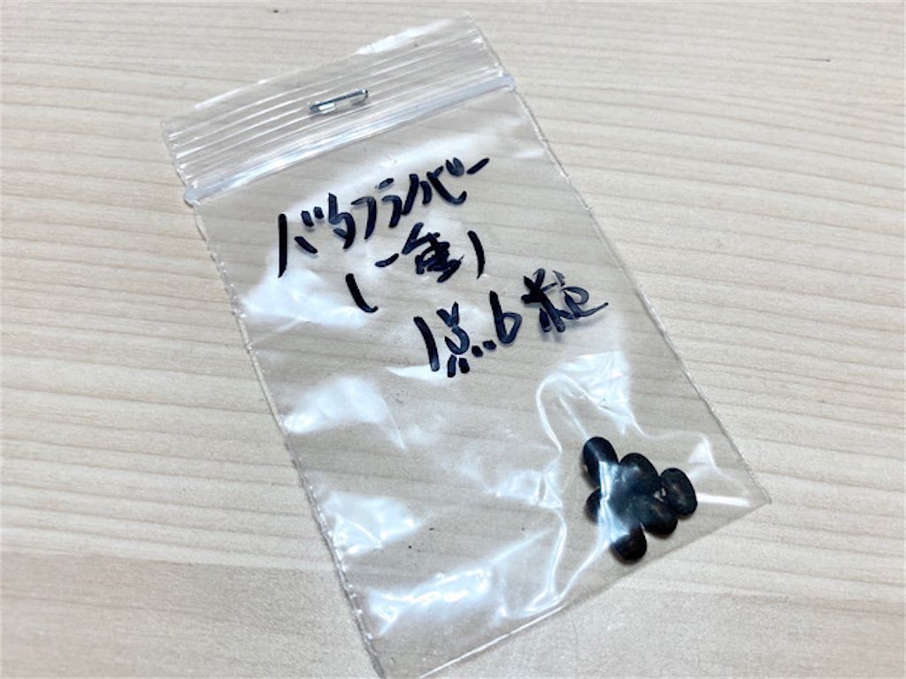 バタフライピー 目指せ青いハーブティー チョウマメの栽培開始 アタマの中は花畑