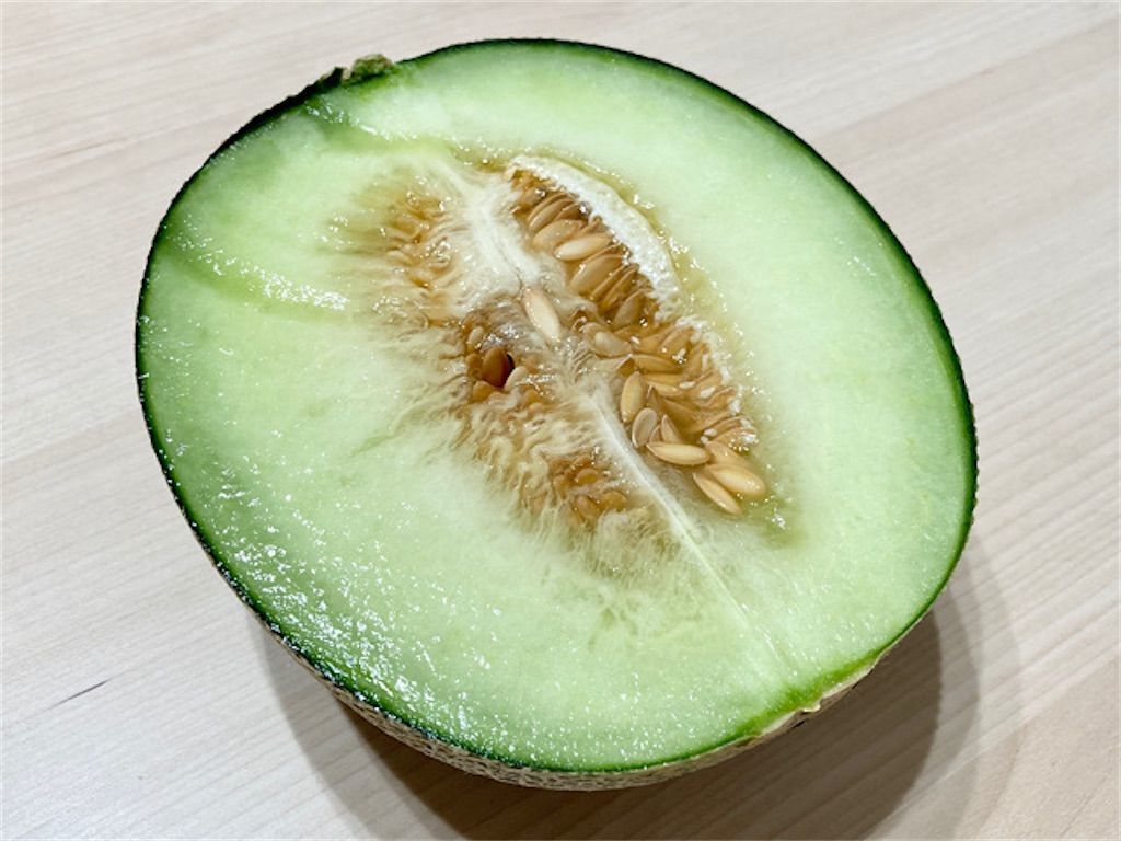 メロン】皮の網目模様はなぜできる?〜美味しいメロンの見分け方について〜 - アタマの中は花畑 メロン】皮の網目模様はなぜできる?〜美味しいメロンの見分け方について〜 - アタマの中は花畑