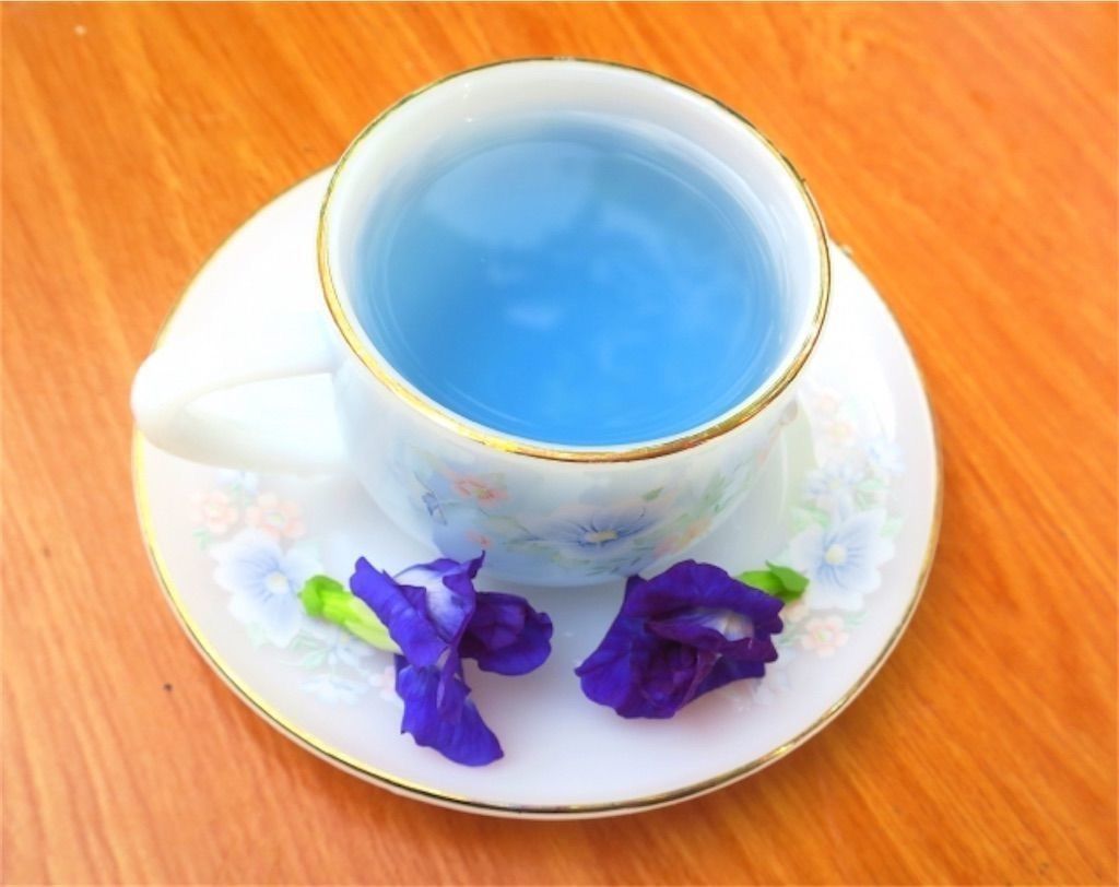 総集編 天然の青い着色料を自宅で バタフライピー チョウマメ を育ててみよう アタマの中は花畑 総集編 天然の青い着色料を自宅で バタフライピー チョウマメ を育ててみよう アタマの中は花畑