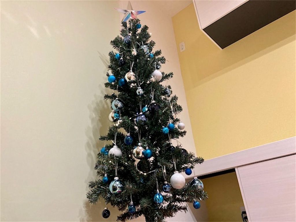 樅】クリスマスツリーにモミの木が選ばれるのはなぜ？ - アタマの中は花畑