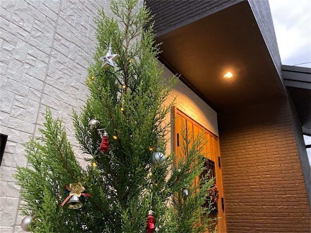 樅 クリスマスツリーにモミの木が選ばれるのはなぜ アタマの中は花畑 樅 クリスマスツリーにモミの木が選ばれるのはなぜ アタマの中は花畑