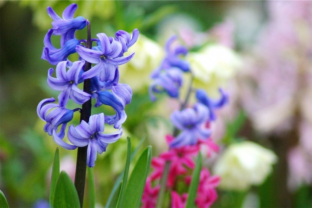 f:id:matundaba79:20220207013055j:image