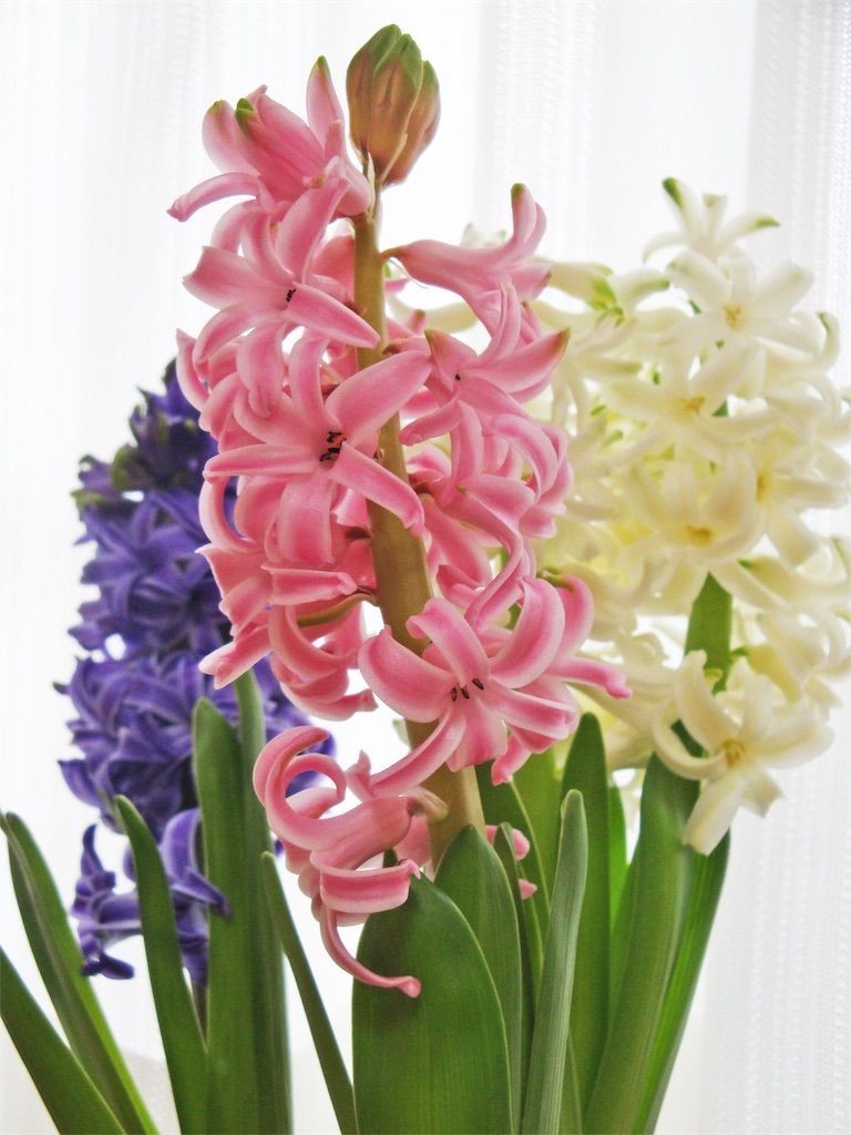 f:id:matundaba79:20220207013059j:image