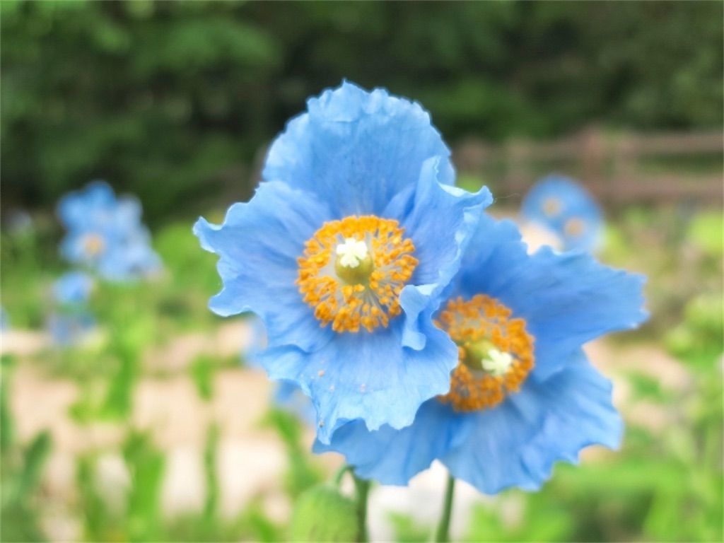 f:id:matundaba79:20220509221305j:image