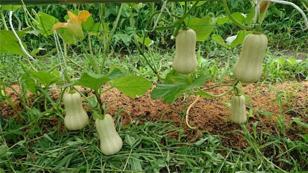 f:id:matundaba79:20220913231437j:image f:id:matundaba79:20220913231437j:image