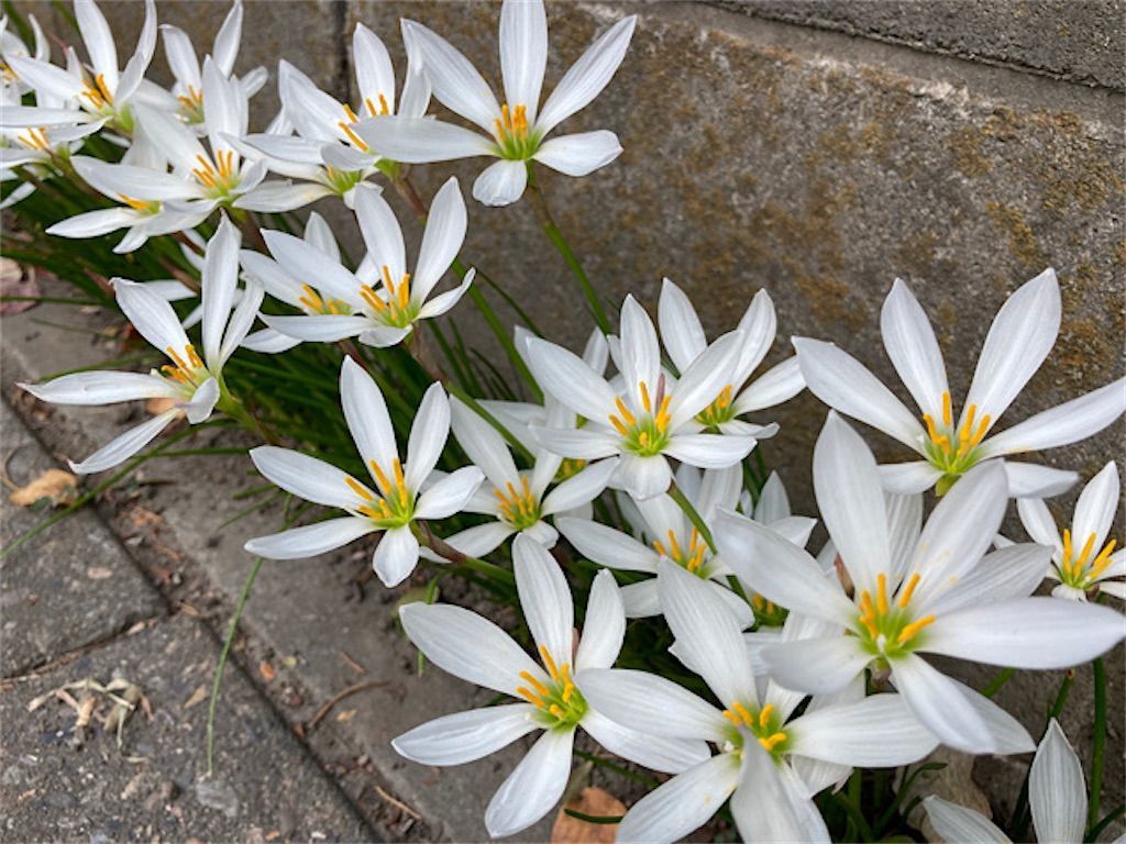 f:id:matundaba79:20221008134512j:image f:id:matundaba79:20221008134512j:image