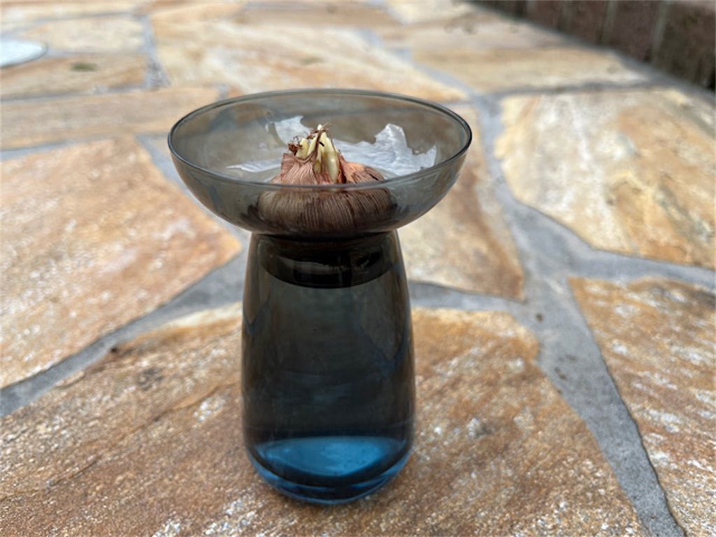 f:id:matundaba79:20221205083938j:image f:id:matundaba79:20221205083938j:image