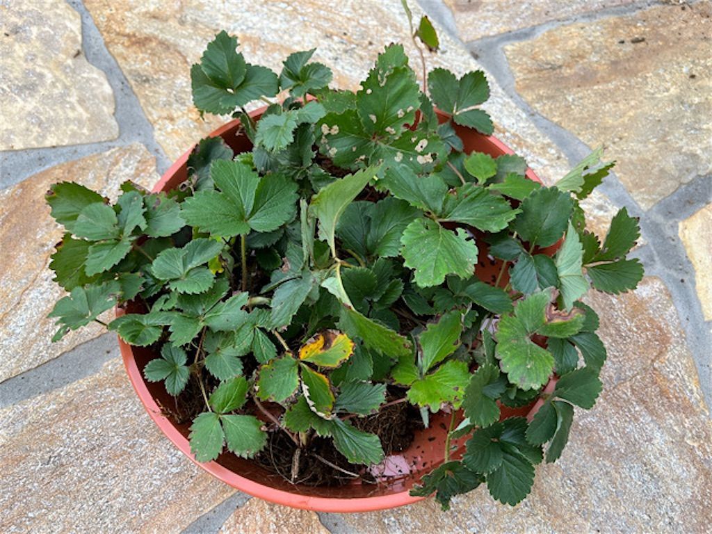 f:id:matundaba79:20221205084949j:image f:id:matundaba79:20221205084949j:image