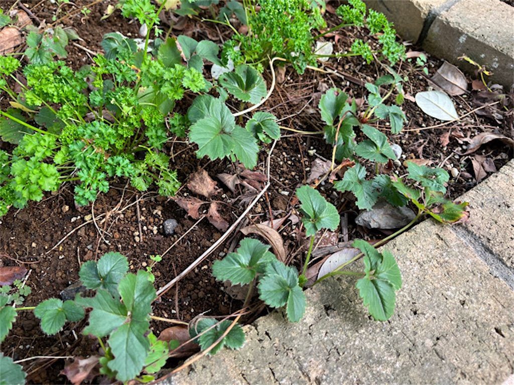 f:id:matundaba79:20221205084954j:image f:id:matundaba79:20221205084954j:image