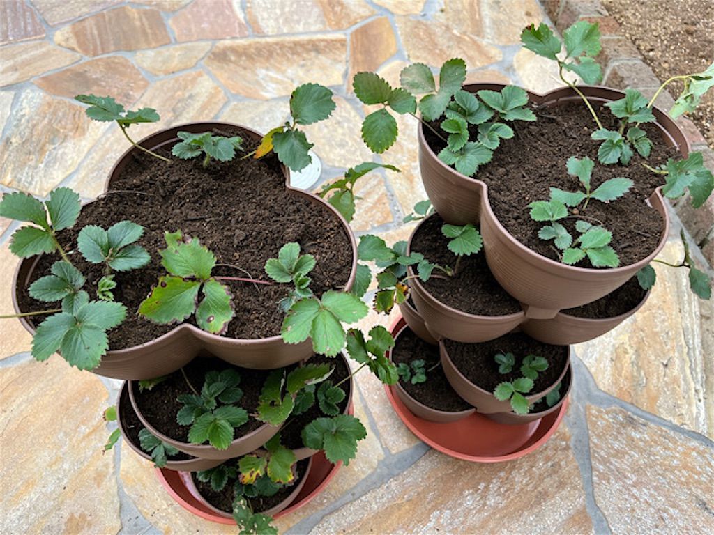 f:id:matundaba79:20221205085008j:image f:id:matundaba79:20221205085008j:image