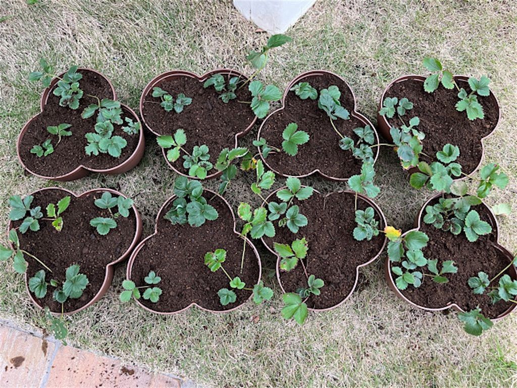 f:id:matundaba79:20221205085014j:image f:id:matundaba79:20221205085014j:image