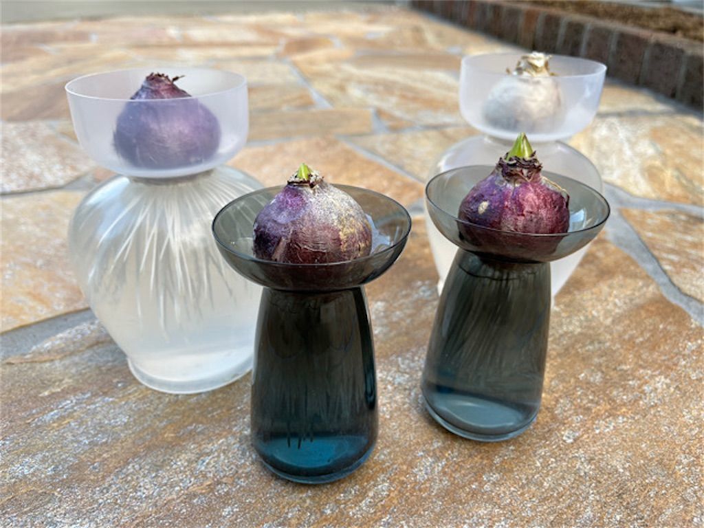 f:id:matundaba79:20221215083633j:image f:id:matundaba79:20221215083633j:image