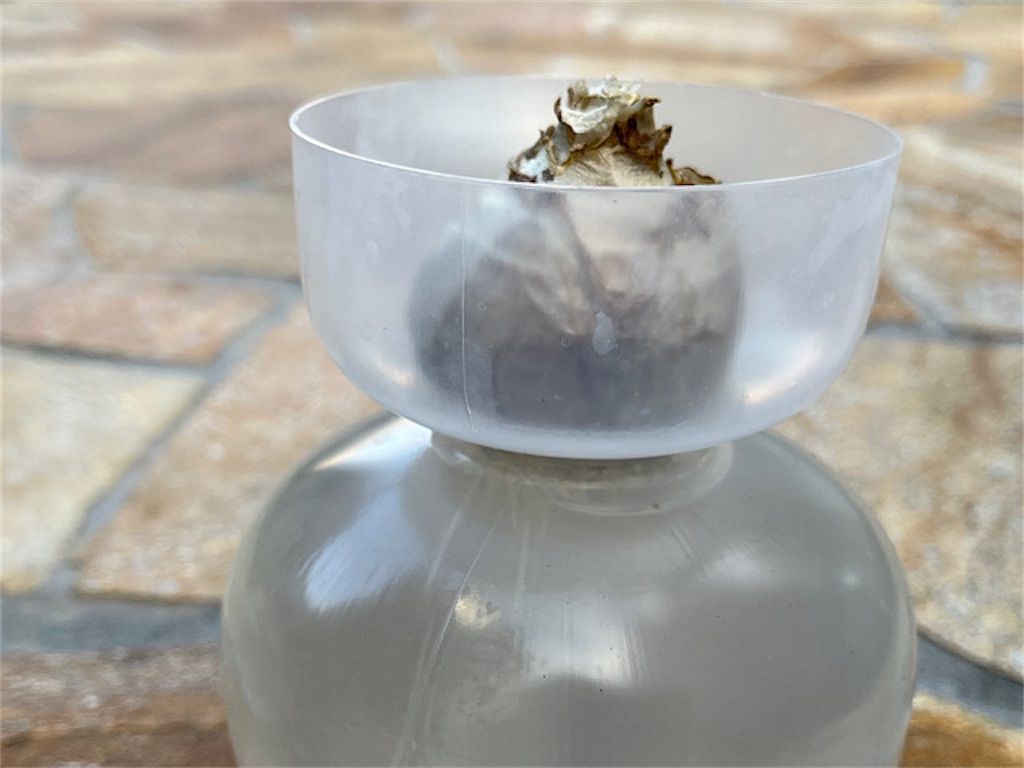 f:id:matundaba79:20221215083636j:image f:id:matundaba79:20221215083636j:image