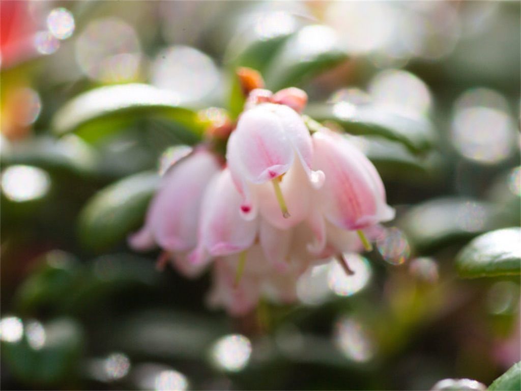f:id:matundaba79:20221227225306j:image f:id:matundaba79:20221227225306j:image