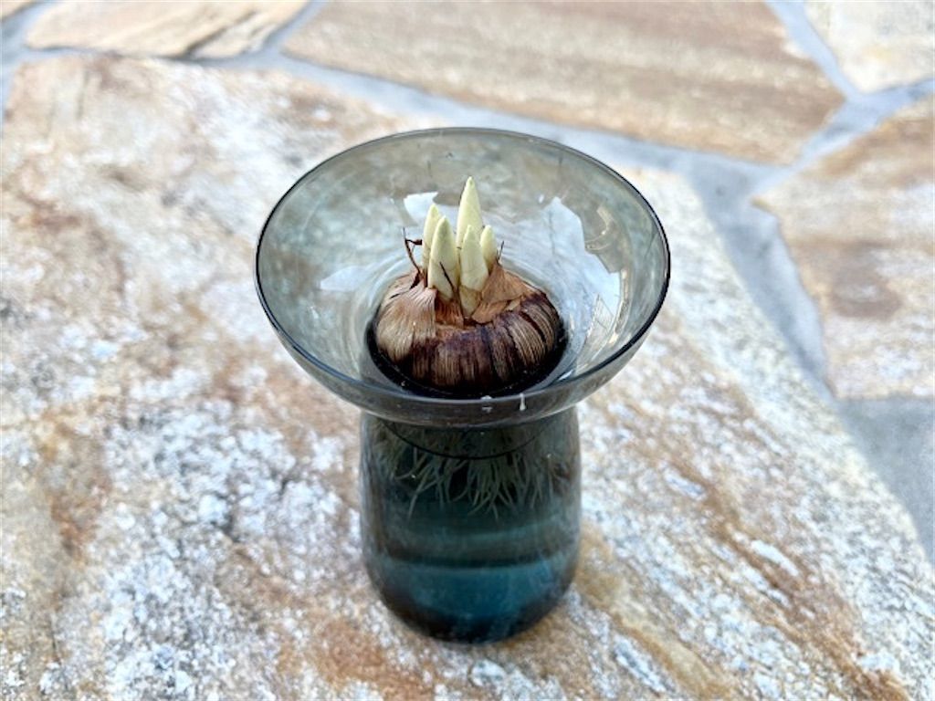 f:id:matundaba79:20221231213147j:image f:id:matundaba79:20221231213147j:image