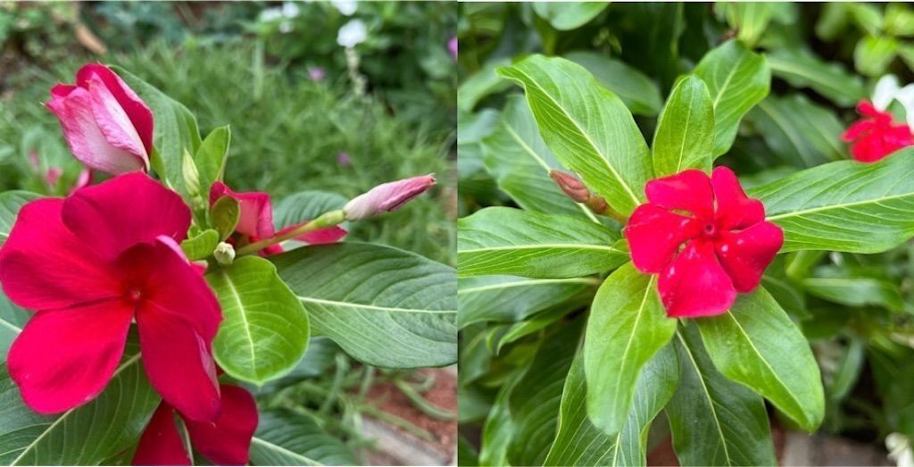 f:id:matundaba79:20230116215718j:image