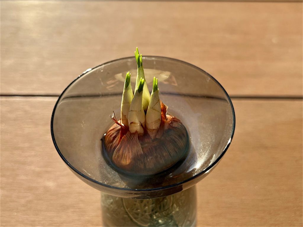 f:id:matundaba79:20230122235410j:image f:id:matundaba79:20230122235410j:image