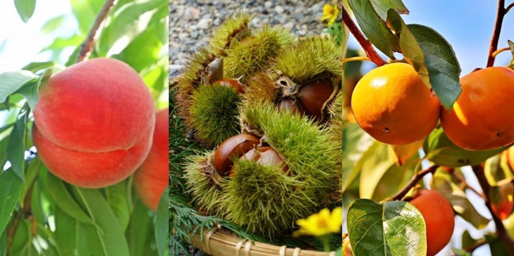 f:id:matundaba79:20230128221140j:image