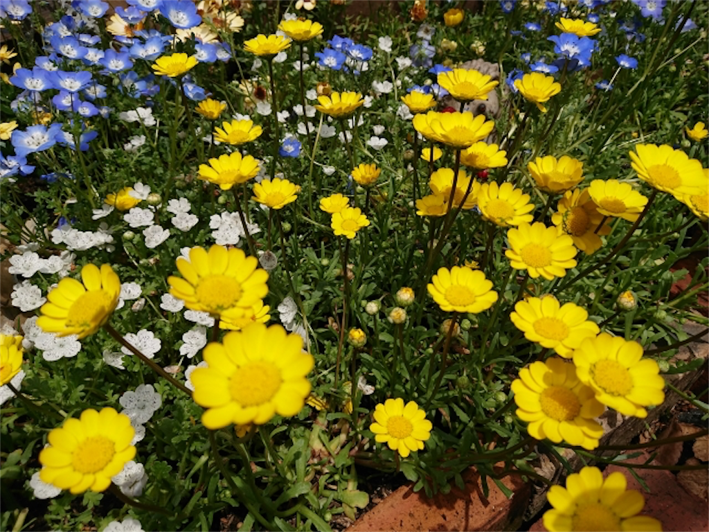f:id:matundaba79:20230130230132p:image f:id:matundaba79:20230130230132p:image
