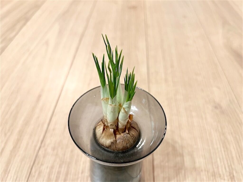 f:id:matundaba79:20230205212153j:image f:id:matundaba79:20230205212153j:image