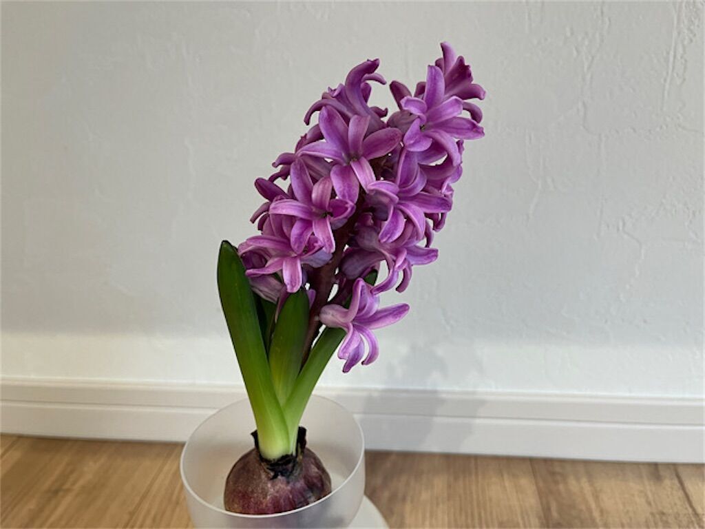 f:id:matundaba79:20230212081804j:image f:id:matundaba79:20230212081804j:image