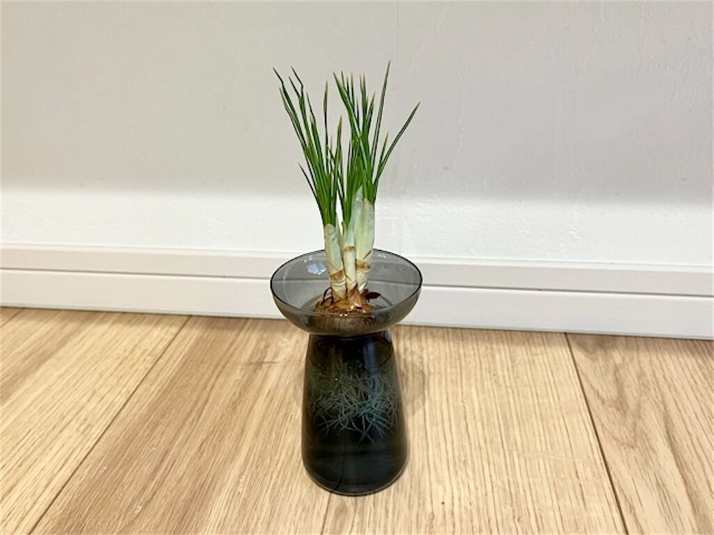 f:id:matundaba79:20230220084119j:image f:id:matundaba79:20230220084119j:image