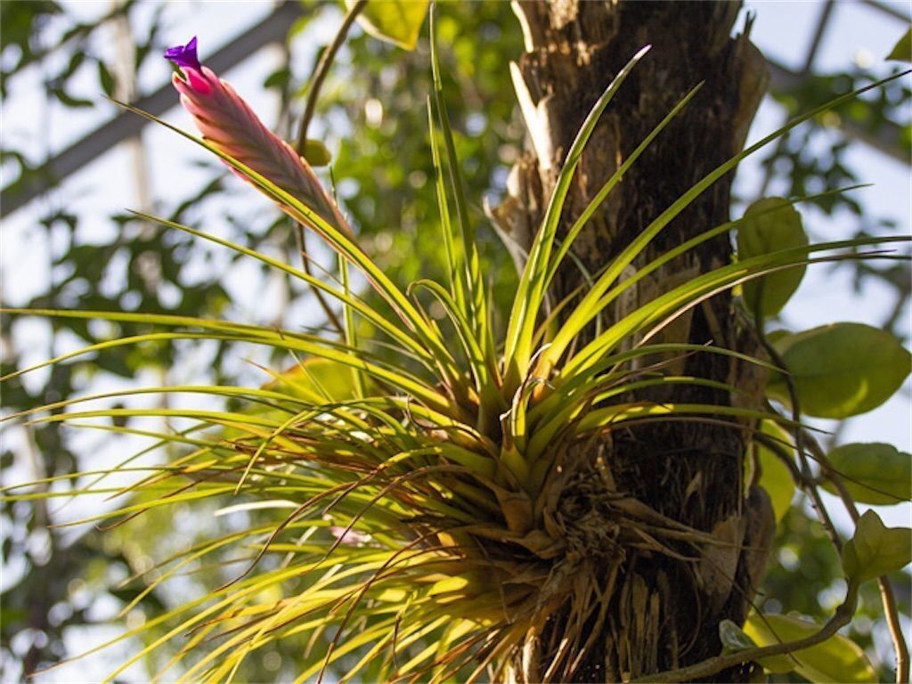 f:id:matundaba79:20230306152053j:image f:id:matundaba79:20230306152053j:image