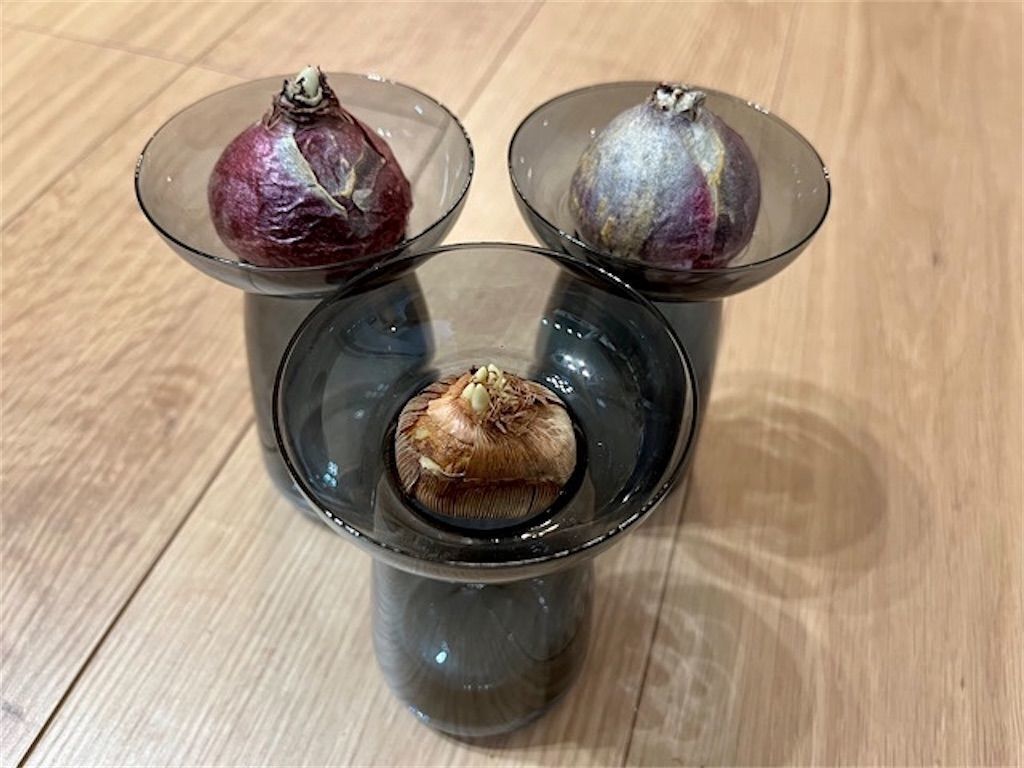 f:id:matundaba79:20230317112233j:image f:id:matundaba79:20230317112233j:image