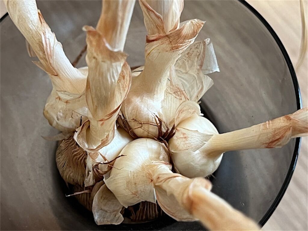 f:id:matundaba79:20230317112719j:image f:id:matundaba79:20230317112719j:image