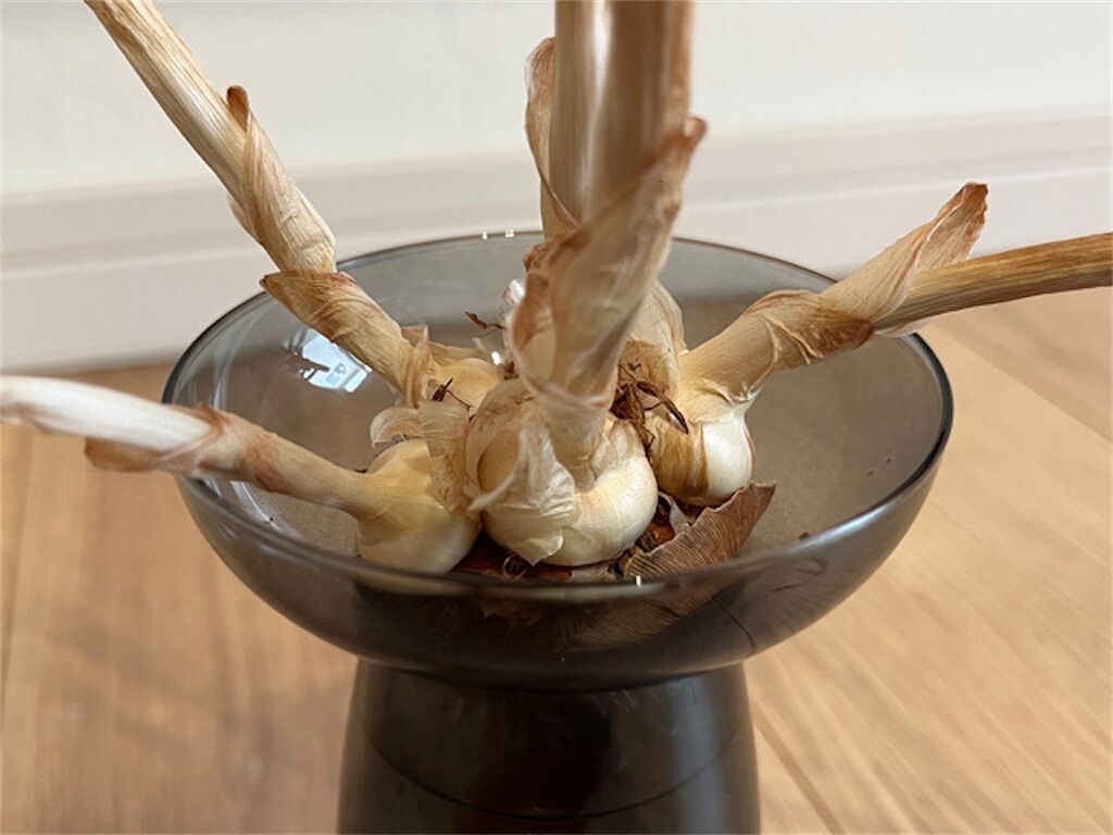 f:id:matundaba79:20230317112722j:image f:id:matundaba79:20230317112722j:image