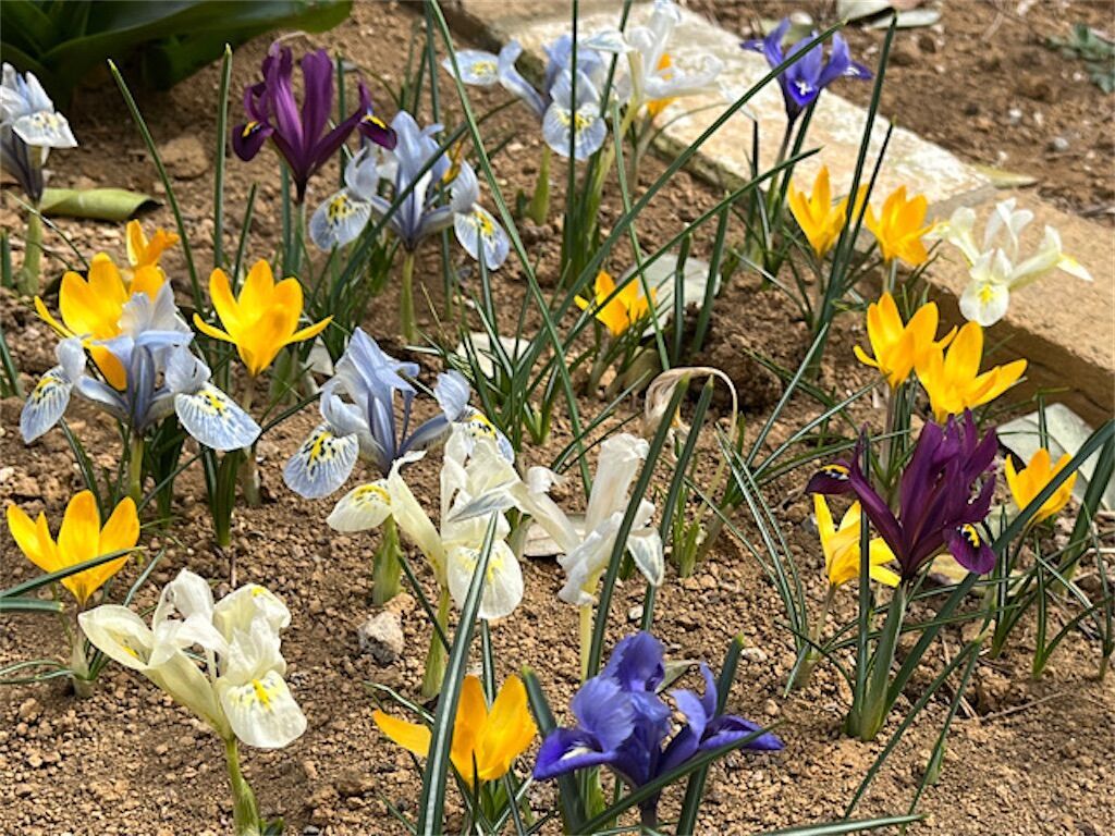 f:id:matundaba79:20230317181709j:image f:id:matundaba79:20230317181709j:image