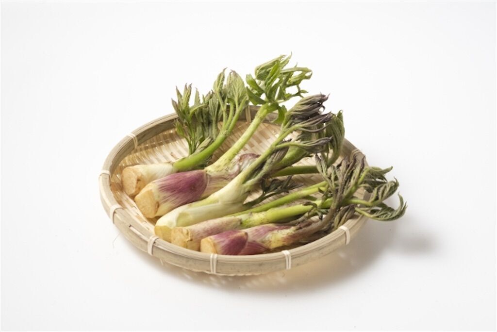 f:id:matundaba79:20230330205753j:image