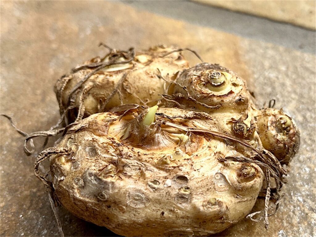 f:id:matundaba79:20230407224356j:image f:id:matundaba79:20230407224356j:image