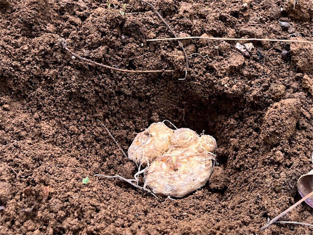 f:id:matundaba79:20230407224400j:image f:id:matundaba79:20230407224400j:image