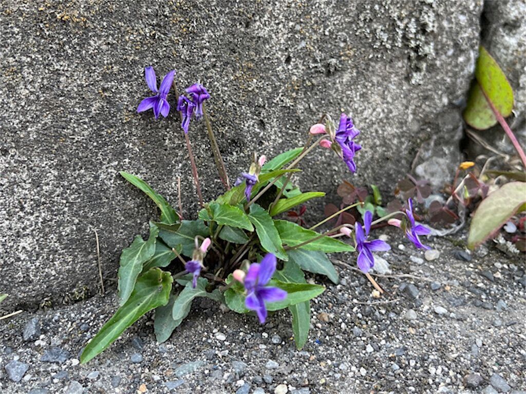 f:id:matundaba79:20230407224453j:image f:id:matundaba79:20230407224453j:image