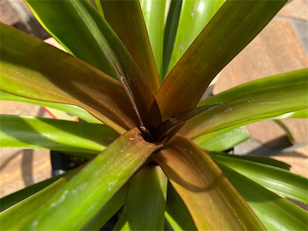 f:id:matundaba79:20230407224658j:image f:id:matundaba79:20230407224658j:image