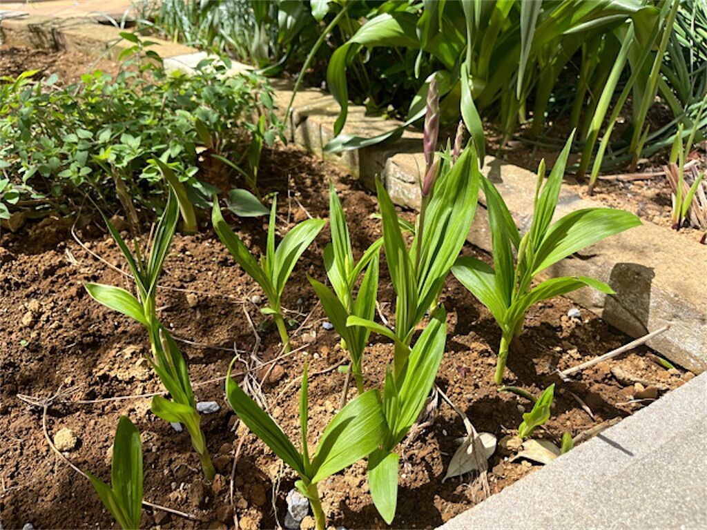 f:id:matundaba79:20230414084439j:image f:id:matundaba79:20230414084439j:image