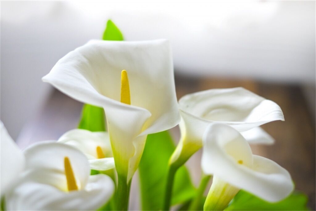 f:id:matundaba79:20230414223832j:image f:id:matundaba79:20230414223832j:image