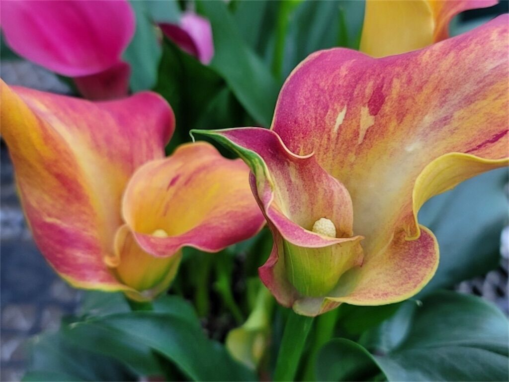 f:id:matundaba79:20230414223840j:image f:id:matundaba79:20230414223840j:image