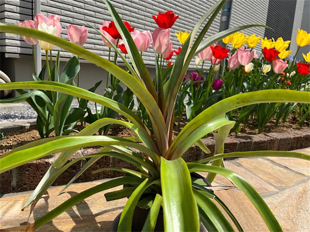 f:id:matundaba79:20230416222248j:image f:id:matundaba79:20230416222248j:image