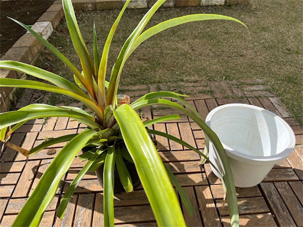 f:id:matundaba79:20230416222320j:image f:id:matundaba79:20230416222320j:image