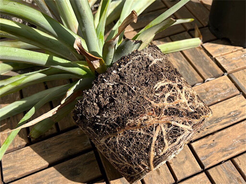 f:id:matundaba79:20230416222323j:image f:id:matundaba79:20230416222323j:image