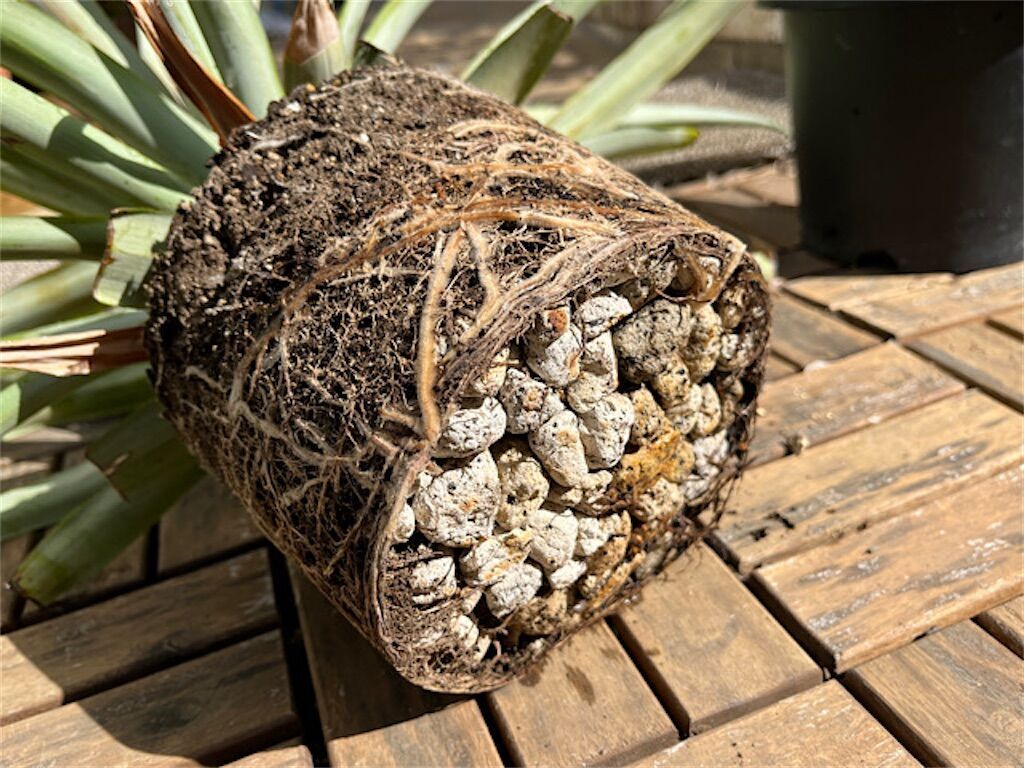 f:id:matundaba79:20230416222326j:image f:id:matundaba79:20230416222326j:image