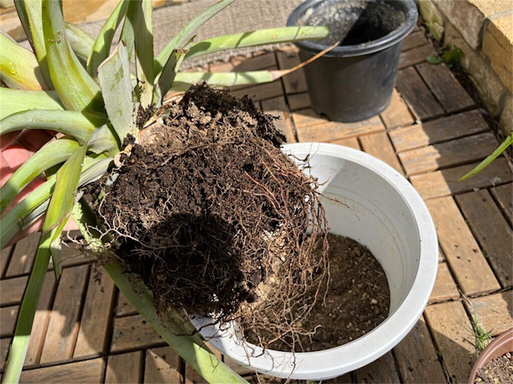 f:id:matundaba79:20230416222330j:image f:id:matundaba79:20230416222330j:image